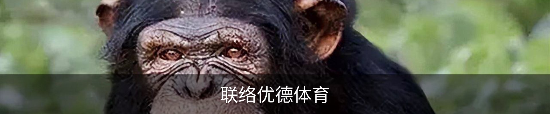 联络优德体育